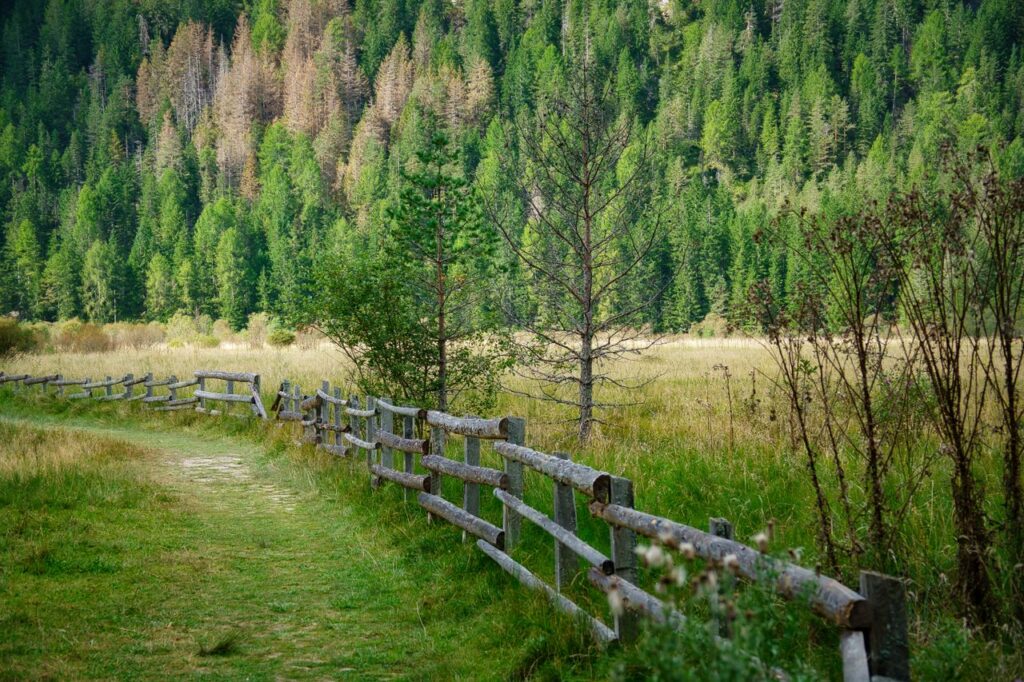 A serene path with wooden fencing and lush greenery in Toblach, Italy.